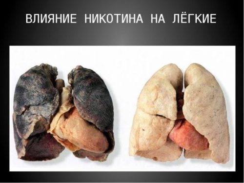 Вред курения для человека.jpg