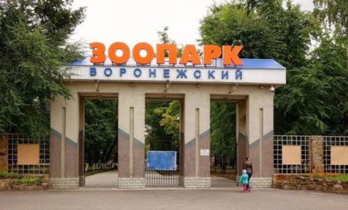 Воронежский зоопарк.jpg