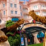 privivka-rebenku-v-1-d-po-