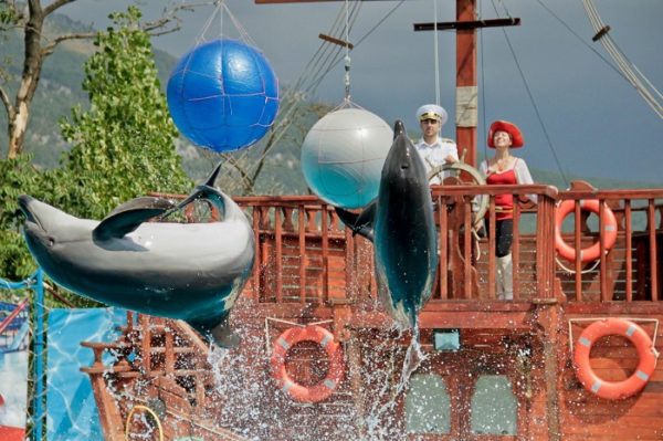 Дельфинарий «Театр морских животных «Акватория»