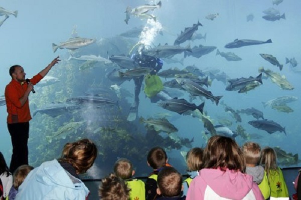 Севастопольский Морской аквариум-музей