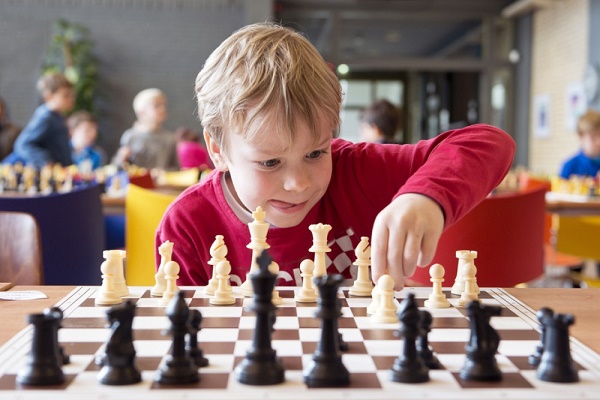 Основные принципы правил шахматной игры