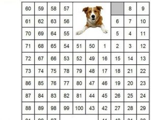 Математические игры для дошкольников