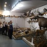 muzej-prirody-v-kostrome