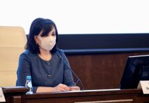 «Недосчитались предпринимателей». Щербина сделала заявление об ответственности властей