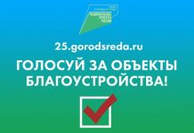 Жители Владивостока решают, какие скверы благоустроят в 2022 году
