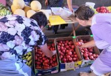 «Борщевой набор» становится дешевле в Приморье