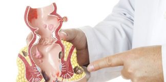 Клиника проктологии: услуги и врачи