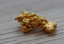 Добыча россыпного золота дает в ВРП регионов Дальнего Востока не более 2%