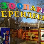kontaktnyj-zoopark-berendeevo-v-parke-imeni-kirova