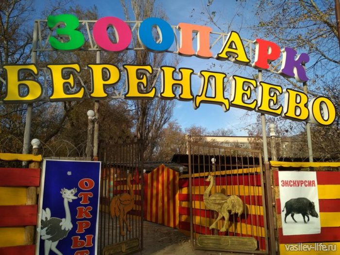 Контактный зоопарк «Берендеево» в парке имени Кирова
