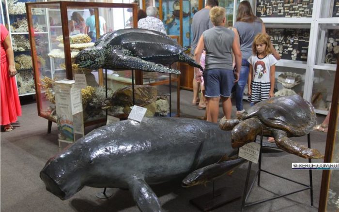 Музей океанографии и рыбного хозяйства (ЮгНИРО)