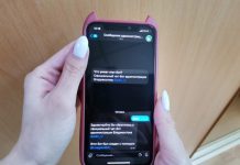 Мэрия Владивостока создала чат-бот в Telegram