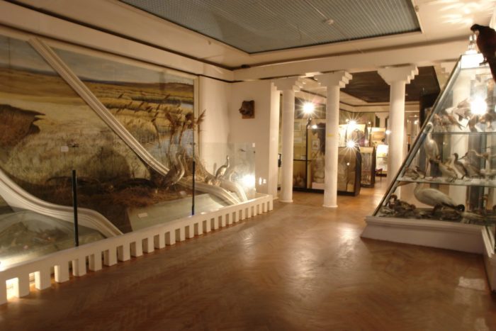 Музей имени В. В. Самсонова