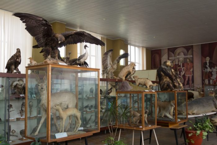 Зоологический музей Дагестанского государственного университета