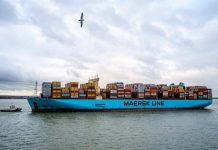 Китайские компании взяли долю Maersk
