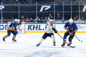 Хоккейный сезон завершен: «Адмирал» порадовал болельщиков ярким шоу (ФОТО)